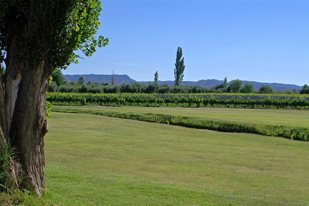 Algodon Wine Estates&Champions Club San Rafael (Mendoza) Exterior foto