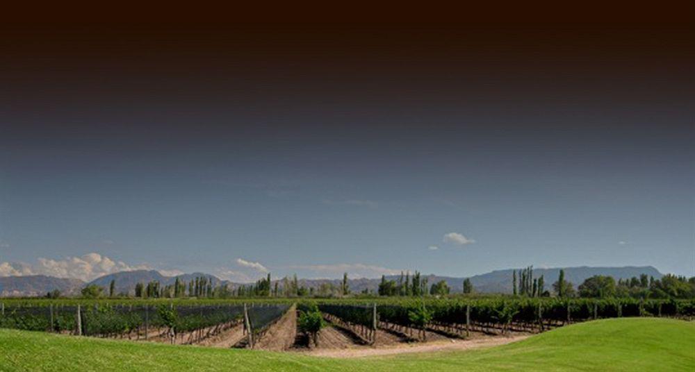Algodon Wine Estates&Champions Club San Rafael (Mendoza) Exterior foto